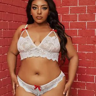 Transparent Lace Backless Bra And Underwear Set Plus Size